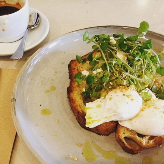 12081219_820900034720769_1354632543_n