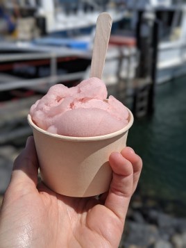 00100lportrait_00100_burst20191217140535622_cover-2