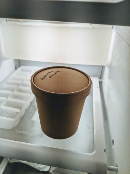 mvimg_20200419_170649